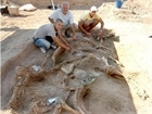 THE MOUND NEAR TO NOVO SELO REVEALS MORE SECRETS FROM THE PAST!